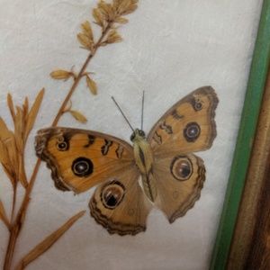 Wall Art Framed 3d Butterflies Flowers Vintage Wall Decor Poshmark